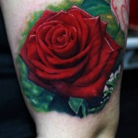 Stunning very realistic colored big rose tattoo on leg