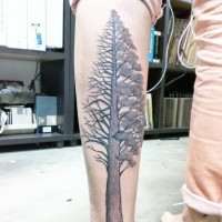 Stylish colored detailed big tree tattoo on leg zone