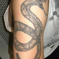 Black ink snake tattoo on arm