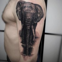 Super realistisches 3D in voller Größe Tattoo mit Elefanten am Arm