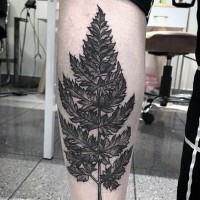 Super realistic and detailed fern leaf tattoo on arm