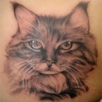 Tatuaggio realistico il gatto molto carono