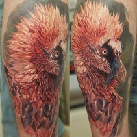 Sehr realistischer bunter Vogel Tattoo