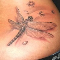 Tatuaje en las costillas, libélula volumétrica