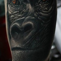 Tatuaje en el brazo, gorila realista con ojos marrones