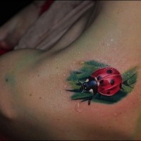 Tatuaggio  carino sulla spalla la coccinella sul fondo verde
