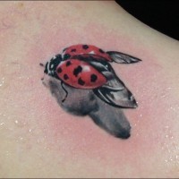 Super realistic ladybug tattoo