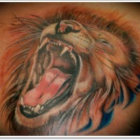 Tatuaje  de león enfadado rugiente