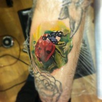 Super realistic lovely ladybug tattoo by Radu Rusu
