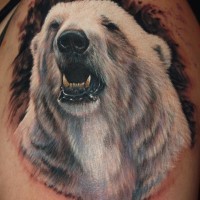 Tatuaje en el brazo, cabeza de oso polar