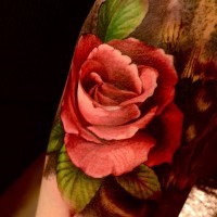 Tatuaje en el brazo, rosa con hojas realista