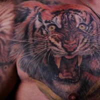Super realistic tiger head tattoo on chest