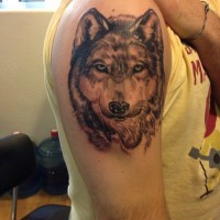 Super realistic wolf tattoo on shoulder