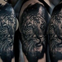 Superior 3D style colored realistic tiger tattoo on shoulder