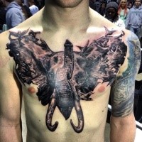 Wunderbares schwarzes und weißes Brust Tattoo mit beeindruckend aussehendem Elefanten Tattoo mit Vögeln