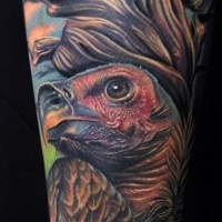 Super aussehendes detailliertes Unterarm Tattoo mit sehr detailliertem Adler