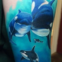 superiore dipinto colorato subacqueo animali tatuaggio su coscia