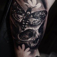 Superior realism stye black and white biceps tattoo of human skull and night butterfly