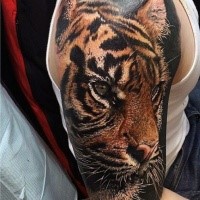 Superior realism style colored shoulder tattoo of steady tiger