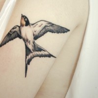 Tatuaje en el brazo, golondrina preciosa que vuela