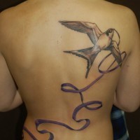 Tatuaje en la espalda,
golondrina gris con cinta púrpura