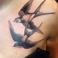 Schwalben Tattoo an seiner Brust