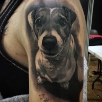 Sweet and cute black and white very realistic dog portrait tattoo on shoulder