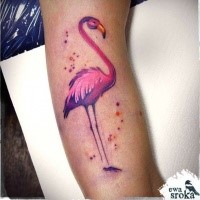 Sweet looking colored arm tattoo of pink flamingo