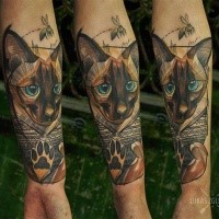 Sweet looking colored cat in sweater tattoo on forearm
