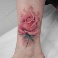 Sweet looking colored leg tattoo of very detailed rose flower