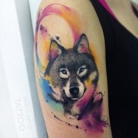 Sweet looking colored upper arm tattoo of wolf