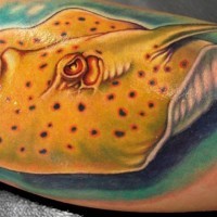 Schwimmender Rochen natürlich gefärbtes realistisches 3D Tattoo mit hellblauem Hintergrund