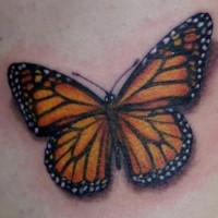 Muy realístico tatuaje de mariposa en color