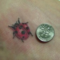 Little ladybug 3d