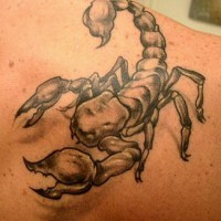 Tatuaggio 3D sulla spalla il scorpione