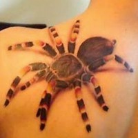 Realistic spider tattoo on shoulder