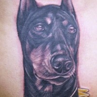 Dobermann dog realistic tattoo