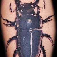 Le tatouage 3D de scarabée sur la jambe