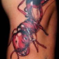 Red horse ant 3d tattoo