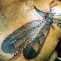 el tatuaje detallado de dos plumas hecho en el pecho