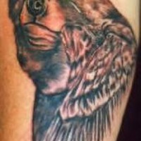 Bear and eagle black tattoo