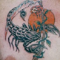Scorpione con la rosa tatuato