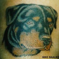 Tatuaje cualitativo Perro rottweiler