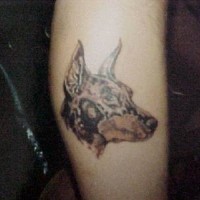 Doberman dog head tattoo