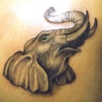 Super realistic elephant tattoo