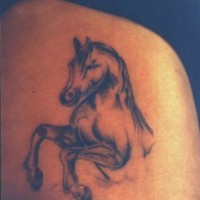 Tatuaggio cavallo sulla spalla