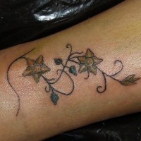 Une plante avec des fleurs le tatouage sur la cheville