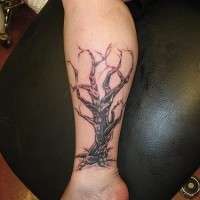 Tattoo von starkem Baum in der Knöchelgegend