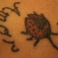 Tattoo vom Marienkäfer und Aufschrift 