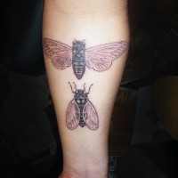 Two flies arm tattoo